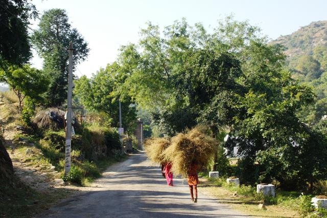 Urlaub in Indien 2016